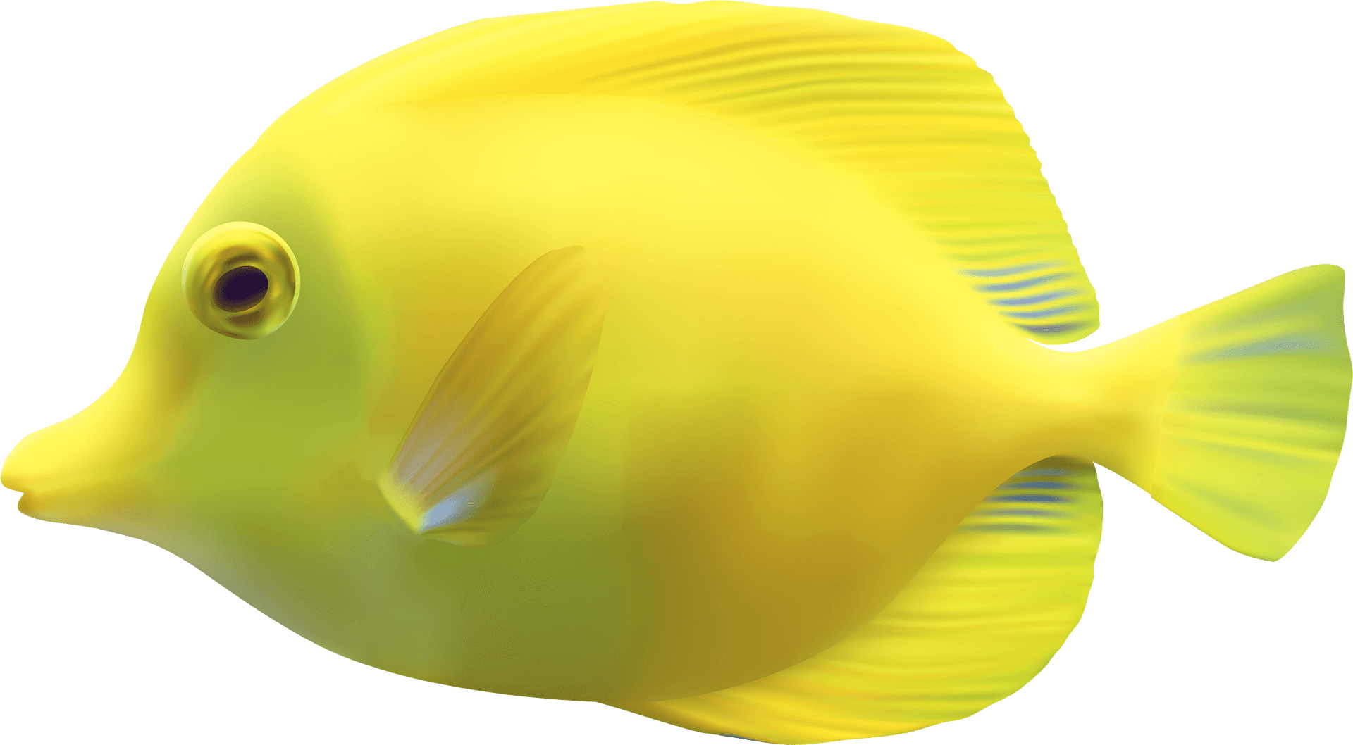 Yellow Tropical Fish Illustration PNG Image