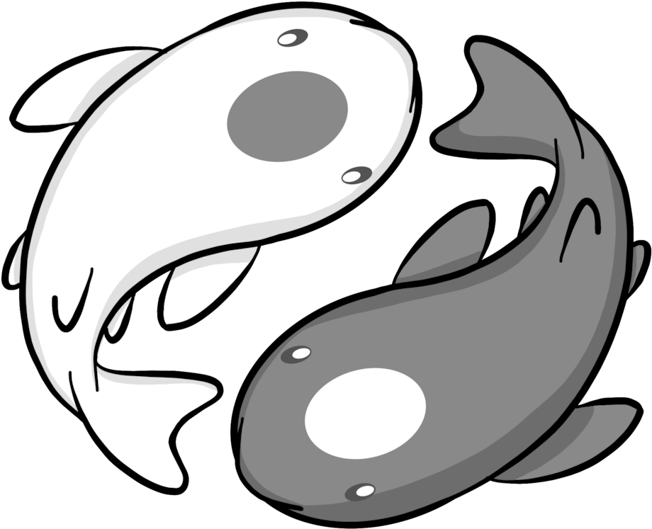 Yin Yang Koi Fish Illustration PNG Image