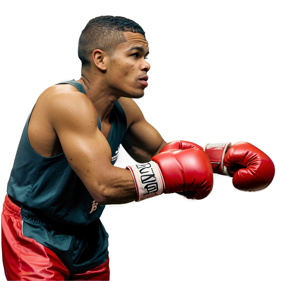 Young Boxer Training Png Ohe93 PNG Image