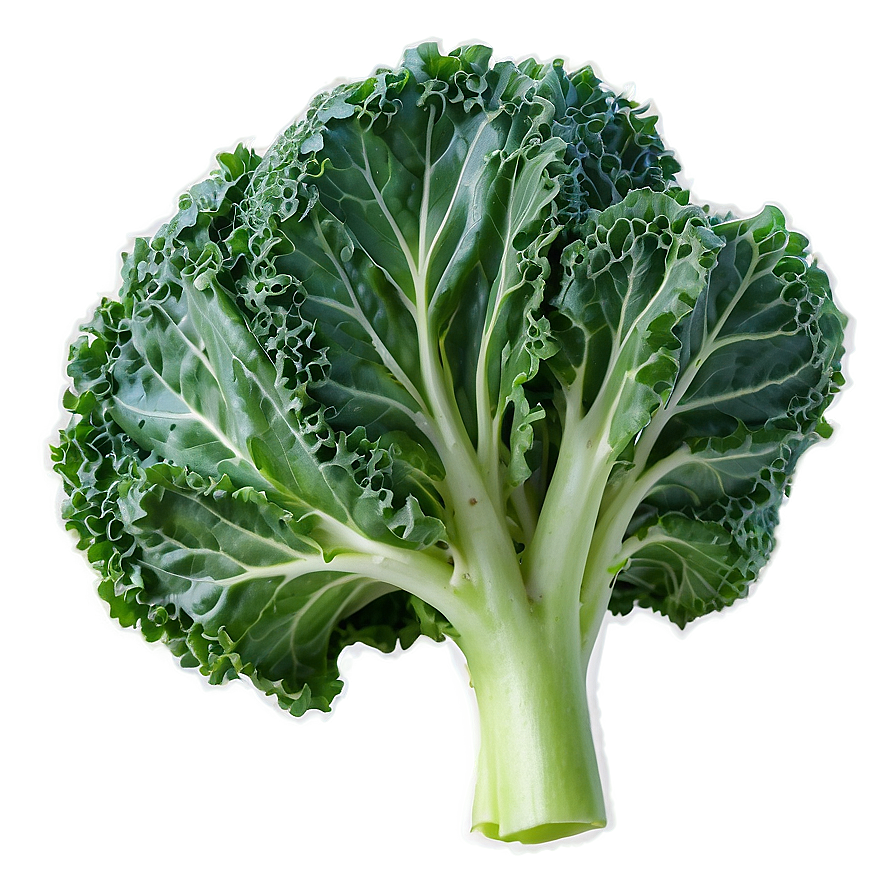 Young Kale Png Bwx PNG Image