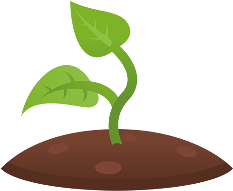 Young Plant Growing In Soil PNG Image