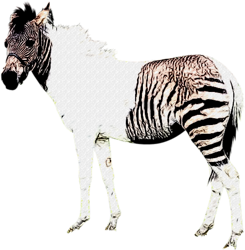 Zebra Horse Hybrid Illustration PNG Image