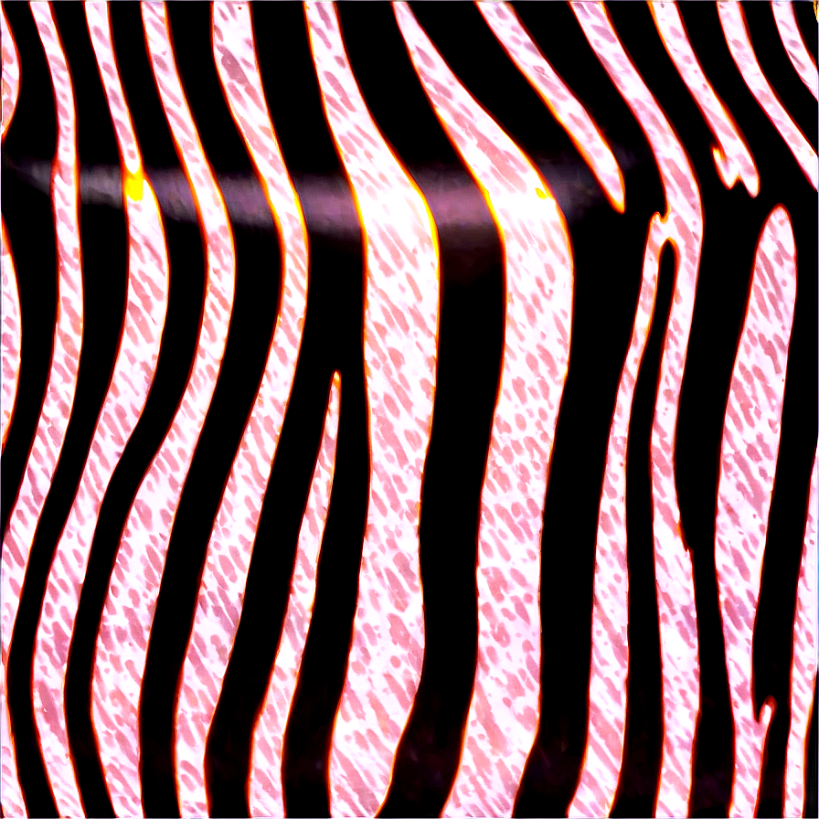 Zebra Print In Nature Png 06272024 PNG Image