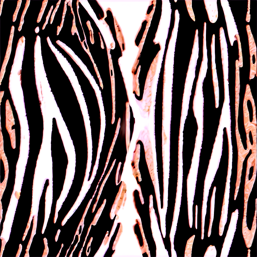 Zebra Print Vector Graphic Png 06272024 PNG Image