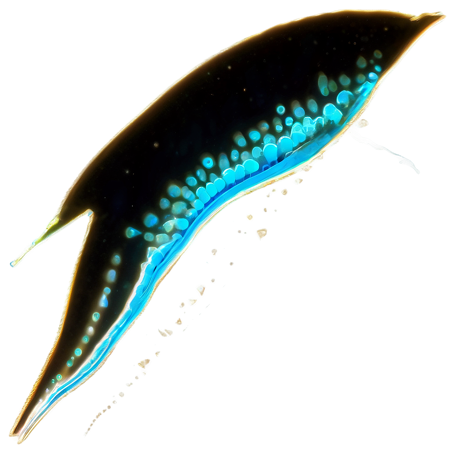 Zooplankton In Bioluminescence Png 66 PNG Image