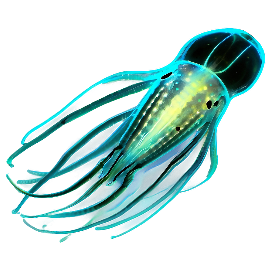 Zooplankton In Bioluminescence Png Muc15 PNG Image