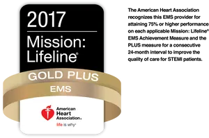 2017 Mission Lifeline Gold Plus Award PNG Image