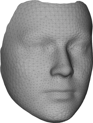 3 D Model Face Wireframe PNG