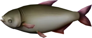 3 D Rendered Carp PNG Image