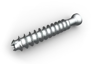 3 D Rendered Silver Screw PNG Image