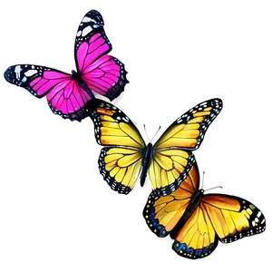 3d Butterfly A PNG Image