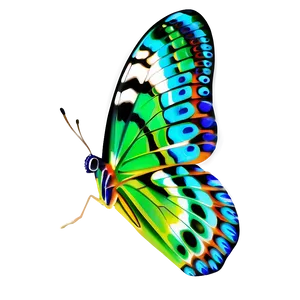 3d Butterfly B PNG Image