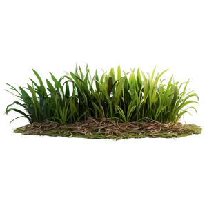 3d Grass Clipart Png Ysl36 PNG Image