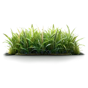 3d Grass Patch Png 25 PNG Image