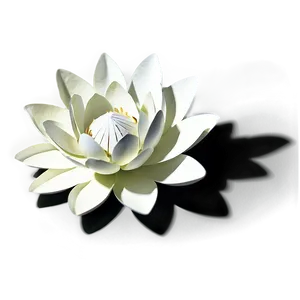 3d Paper Lotus Flower Png Oub13 PNG Image