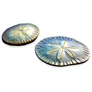 3d Sand Dollar Image Png Lfc41 PNG Image