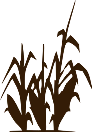 A Silhouette Of A Plant PNG