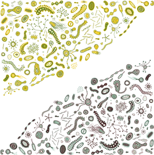 Abstract Bacterial Ecosystem Art PNG Image