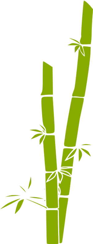 Abstract Bamboo Illustration PNG Image