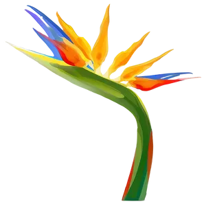 Abstract Bird Of Paradise Png Osw68 PNG Image