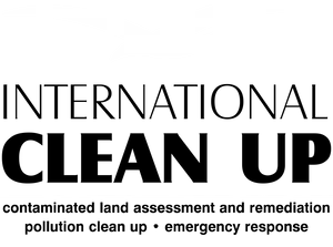 Abstract Bird Silhouette PNG