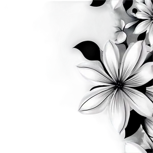 Abstract Black White Flowers Png Hbu PNG Image