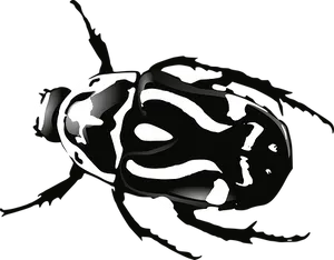 Abstract Blackand White Beetle Illustration PNG Image