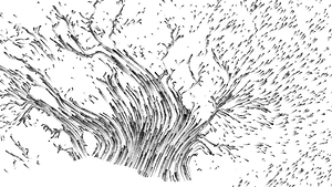 Abstract Blackand White Flowing Lines PNG Image