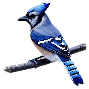 Abstract Blue Jay Image Png Hkn74 PNG Image