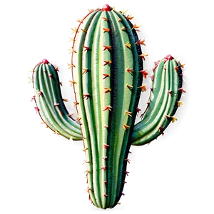 Abstract Cactus Design Png Psb PNG Image