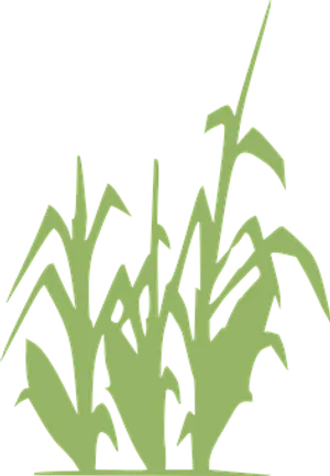 Abstract Corn Stalks Silhouette PNG