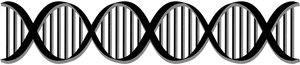 Abstract D N A Double Helix Illustration PNG Image