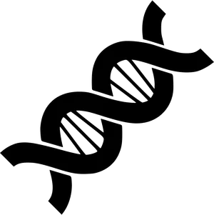 Abstract D N A Double Helix PNG Image