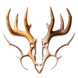 Abstract Deer Antler Pattern Png Wfv PNG Image