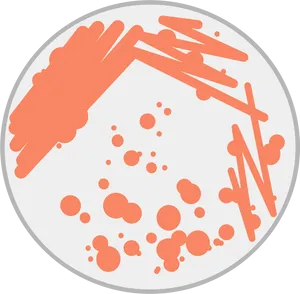 Abstract Dish Splatter Pattern PNG Image