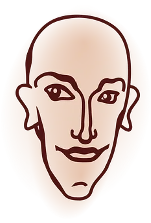 Abstract Face Illusion Art.jpg PNG