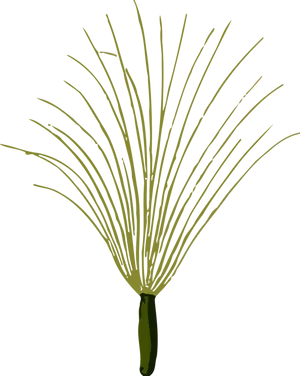 Abstract Grass Flower Illustration PNG Image