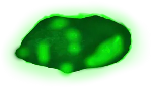 Abstract Green Blob Illustration PNG Image