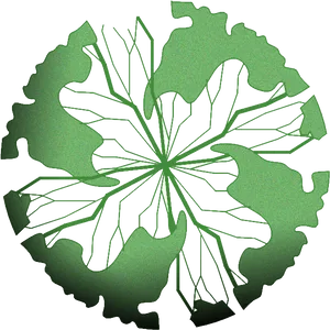 Abstract Green Leaf Pattern PNG Image