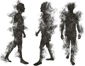 Abstract Human Silhouettes_ Triptych PNG Image