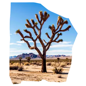 Abstract Joshua Tree Art Png 19 PNG Image