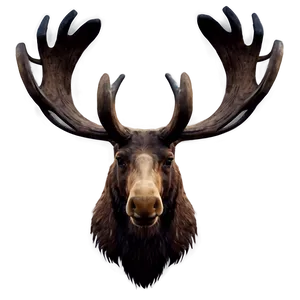 Abstract Moose Head Design Png 06292024 PNG Image