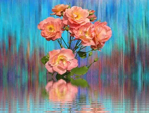 Abstract Pink Roses Reflection PNG Image