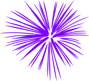 Abstract Purple Firework Burst PNG Image