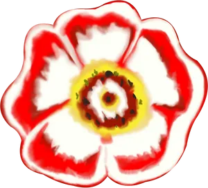 Abstract Red White Flower Art PNG Image