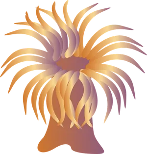 Abstract Sea Anemone Illustration PNG Image