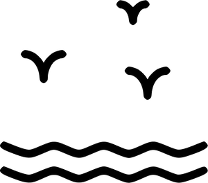 Abstract Seagulls Over Waves Line Art PNG Image