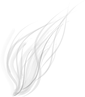 Abstract Smoke Lineson Black Background PNG