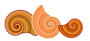 Abstract Spiral Shells Graphic PNG Image