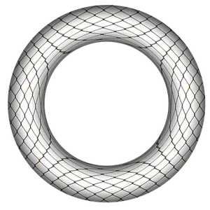 Abstract Torus3 D Render PNG Image